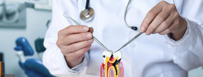 Odontología Preventiva: Nuevas Estrategias para una Salud Bucodental Óptima 15 odontología preventiva