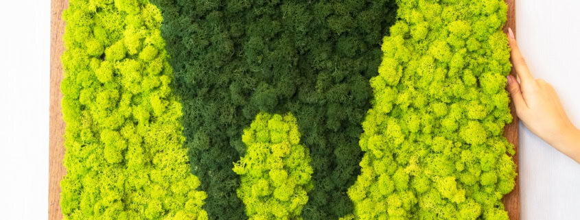 dientes verdes Dientes verdes: ¿Qué significa?